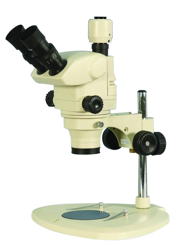 ��Ŀ��(sh��)�w�@΢�R|SX-5