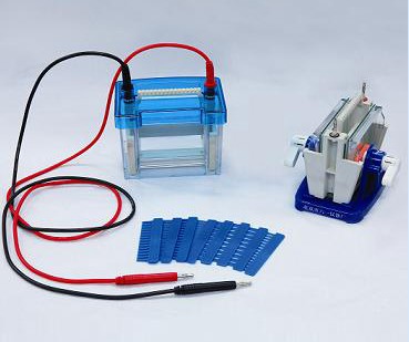 �a(ch��n)Ʒ���Q�������p��ֱ�Ӿ�x(��)��С̖��DYCZ-24DN��