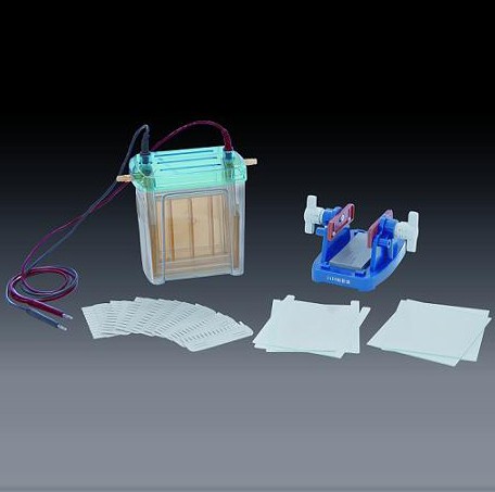 �a(ch��n)Ʒ���Q���p��ֱ�Ӿ�x(��)����̖(h��o)��DYCZ-24F