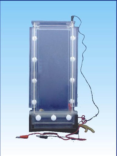 DNA���з����Ӿ�x���ۣ�BG-verSEQUENCING (H)��