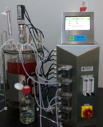 ������̈́��：(x��)�����B(y��ng)���ﷴ��(y��ng)��