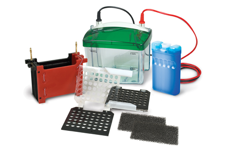 С�� Mini Trans-Blot&reg; �D(zhu��n)ӡ��