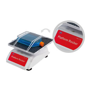 �[��С��NS-04��NS-05U